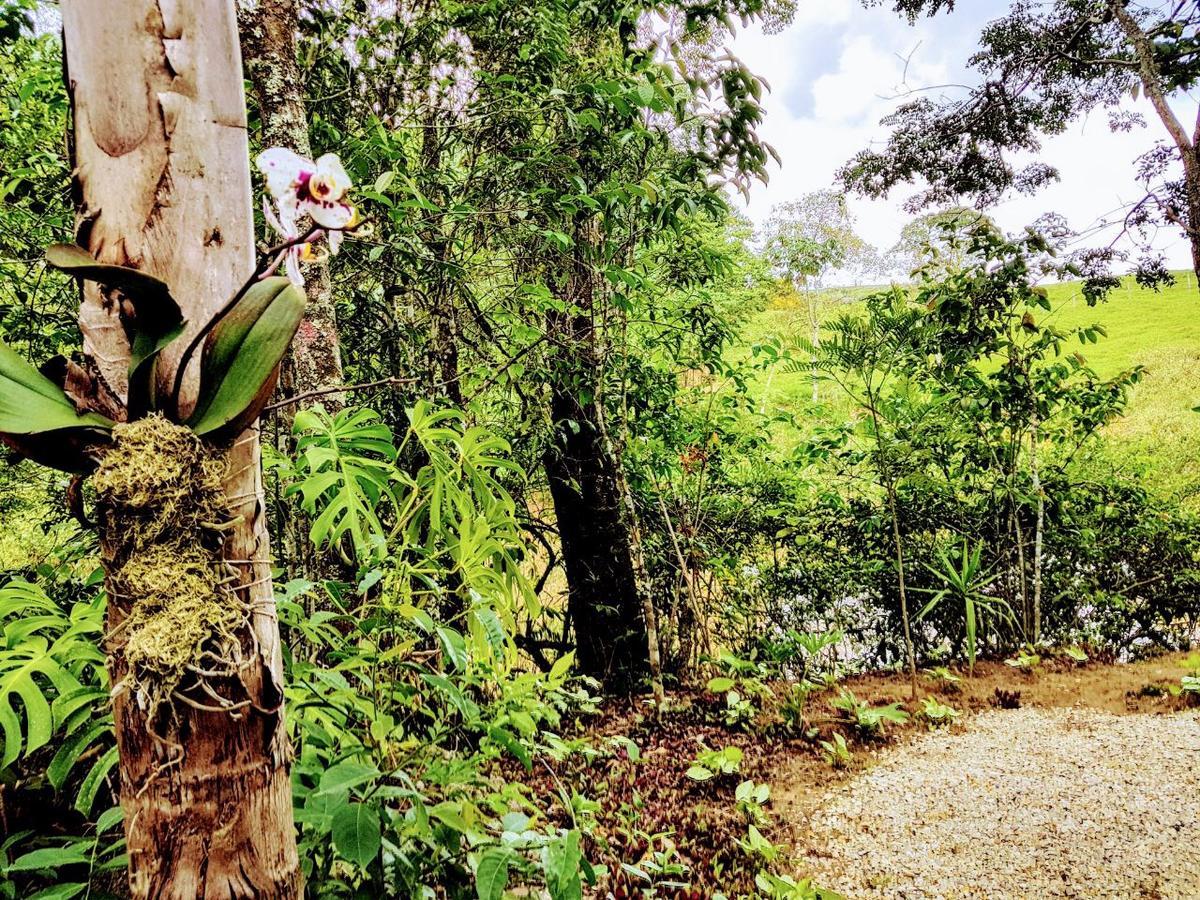 Pousada Santa Thereza Serra Negra  Esterno foto